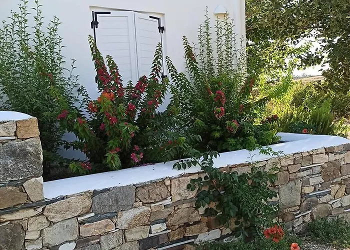 Andria's Χρυσή Ακτή