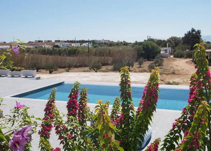 Andria's * Chrisi Akti (Paros)